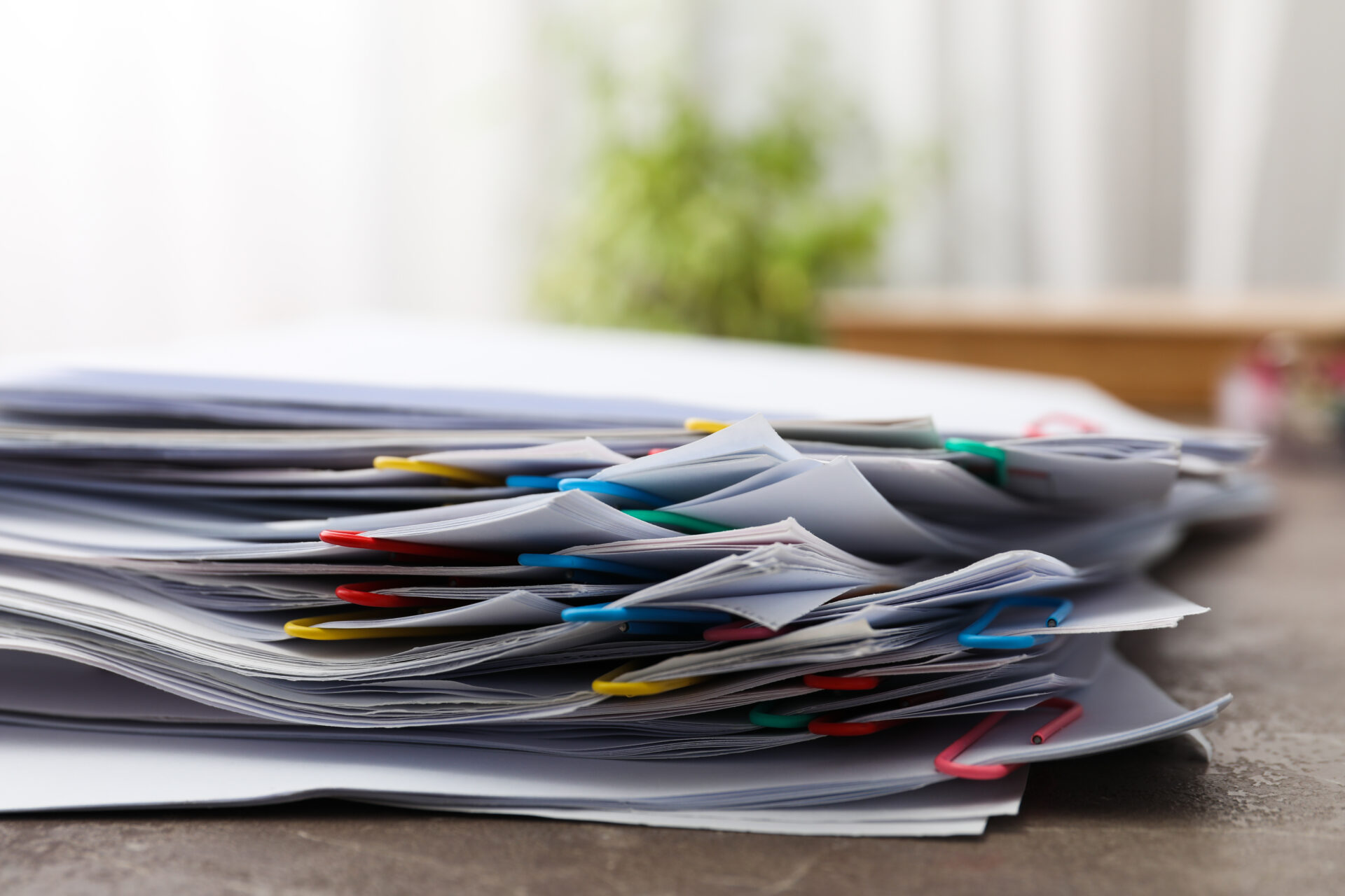 contenu minimal projet établissement service