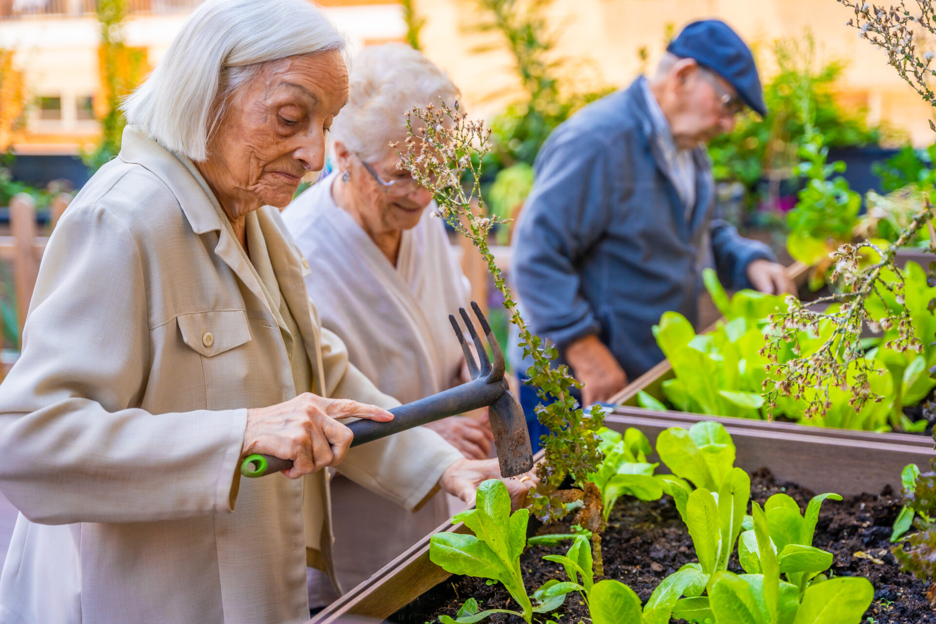 Personnes âgées jardinant dans un EHPAD lieu de vie