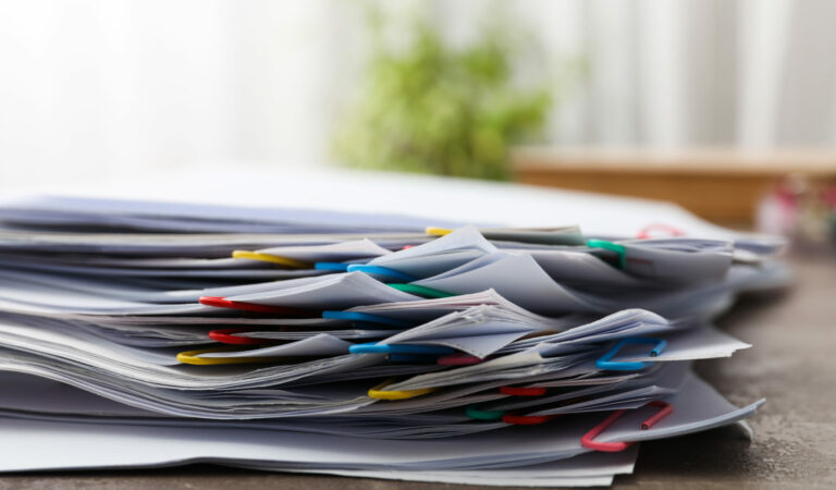 contenu minimal projet établissement service