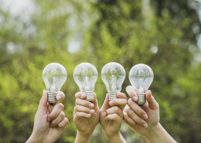 La RSE comme levier de performance en établissement et service médicosocial La RSE comme levier de performance en établissement et service médicosocial