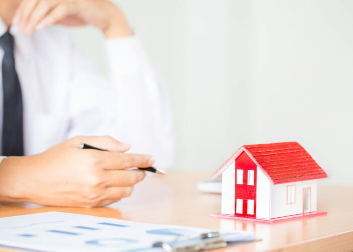 Mise en œuvre du plan d’aide à l’investissement 2024