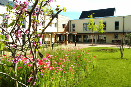 EHPAD Chamrouge garden with shrubs and pink flowers in the foreground